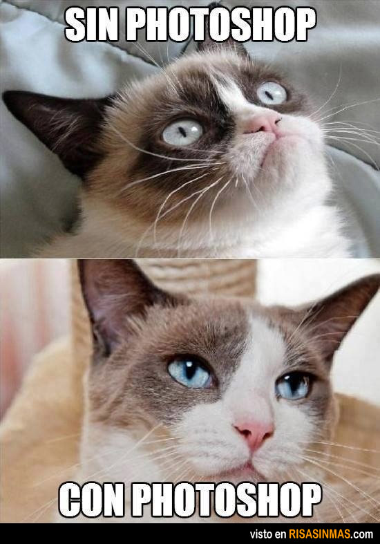 grumpy-cat-con-photoshop